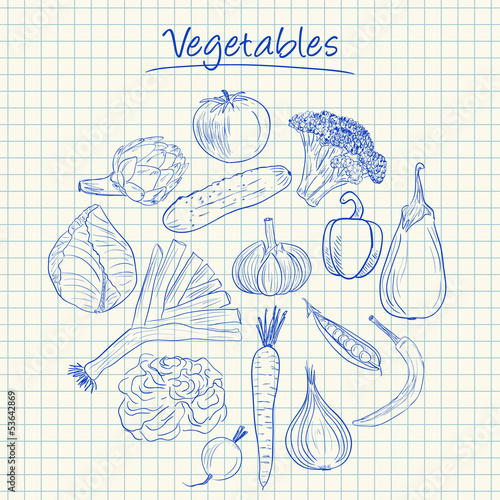 Vector: Vegetables doodles - squared paper Vegetables doodles - squared paper