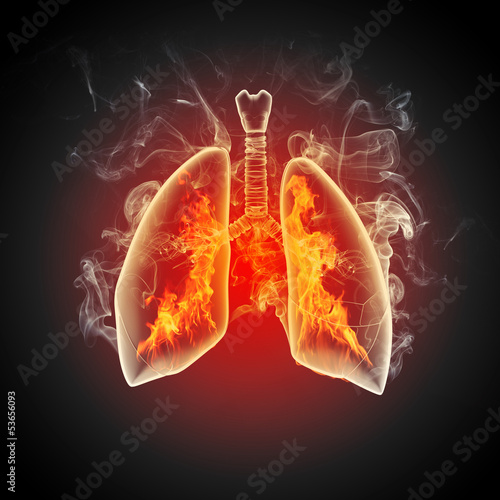 Illustration: Schematic illustration of human lungs Schematic illustration of human lungs