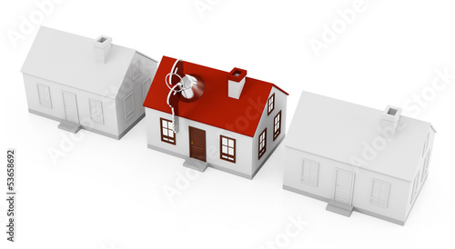 Illustration: House protection House protection