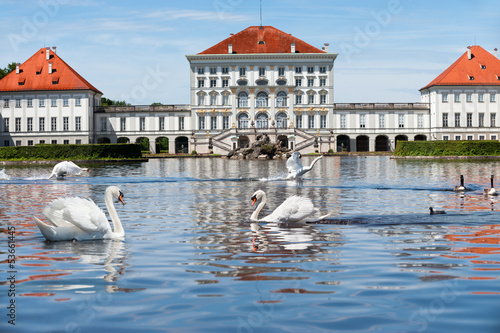 Photo: Swans in front of Nymphenburg Castle in Munich Swans in front of Nymphenburg Castle in Munich