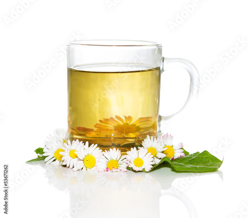Photo: Fresh herbal tea with Bellis prennis Fresh herbal tea with Bellis prennis