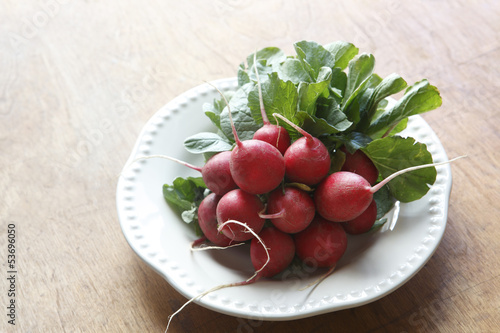 Photo: Garden Fresh Radishes On White Plate Garden Fresh Radishes On White Plate