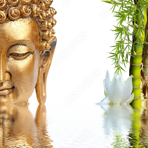  Bouddha doré, bambou et fleur blanche de lotus