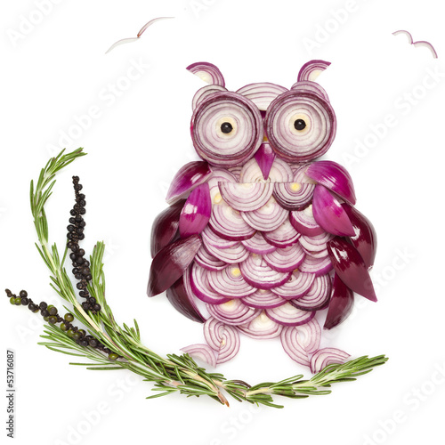 Photo: Wise onion. Wise onion.