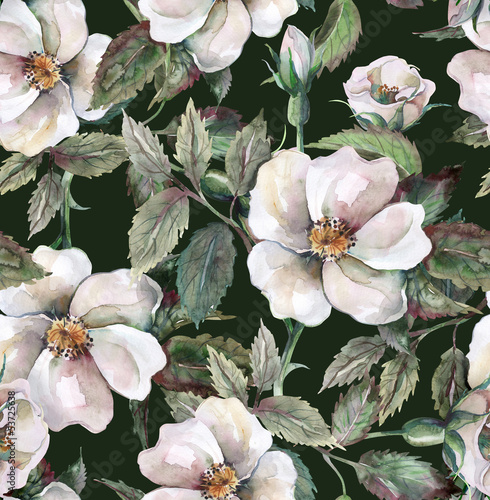 Illustration: Wild Roses Seamless Pattern Wild Roses Seamless Pattern