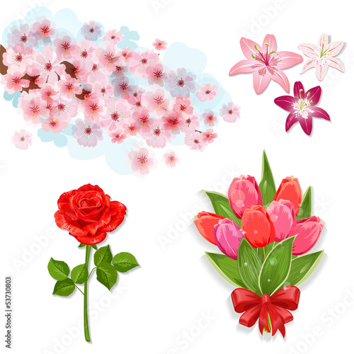 Vector: Set of isolated flowers for your design Set of isolated flowers for your design
