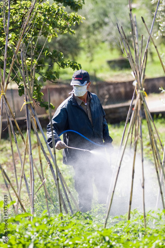 Photo: farming farming