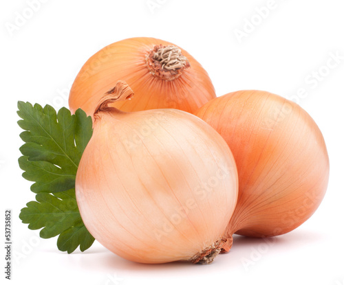 Photo: Onion vegetable bulb and parsley leaves still life Onion vegetable bulb and parsley leaves still life