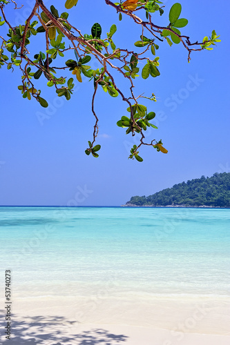 Photo: Tropical beach. Tropical beach.