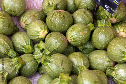 Photo: Französischer grüner Kürbis Französischer grüner Kürbis