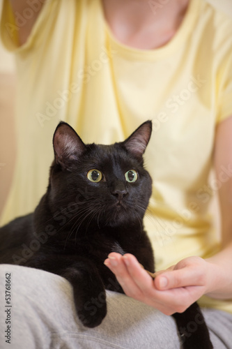 Photo: Unrecognizable woman feeding her black cat at home Unrecognizable woman feeding her black cat at home