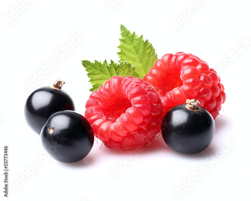 Photo: Raspberry with currant Raspberry with currant