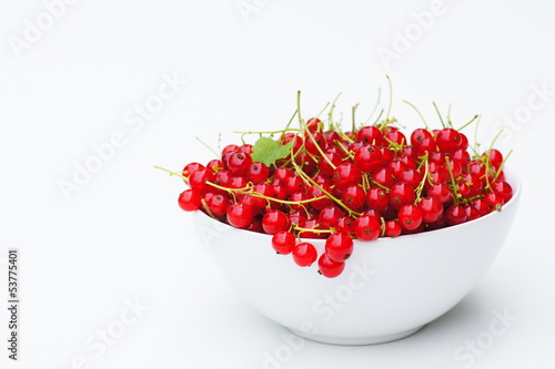 Photo: Rote Johannisbeeren Rote Johannisbeeren