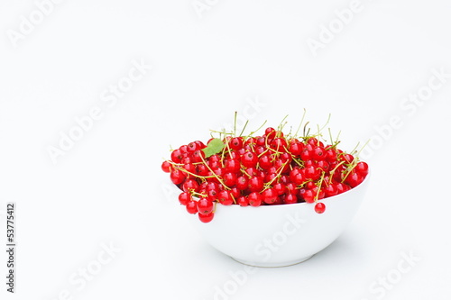 Photo: Rote Johannisbeeren Rote Johannisbeeren