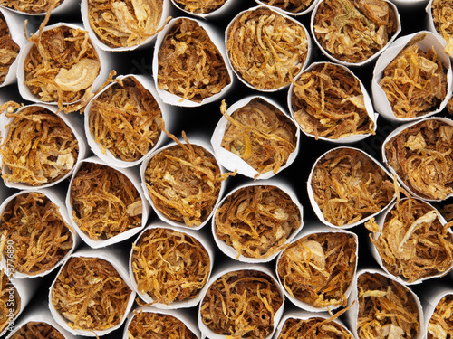 Photo: Tobacco Tobacco