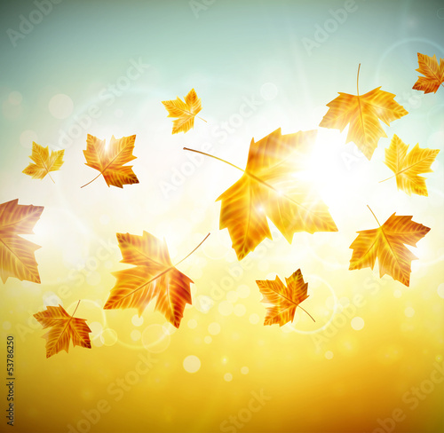 Vector: Autumn background with leaves Autumn background with leaves