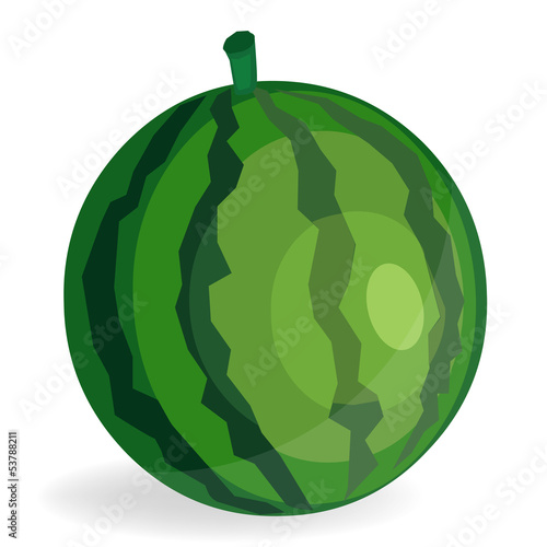 Vector: Watermelon Fruit Watermelon Fruit