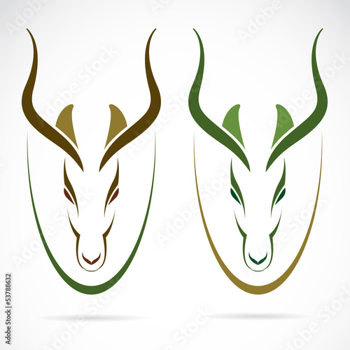 Vector: Vector image of an head impala and horns. Vector image of an head impala and horns.
