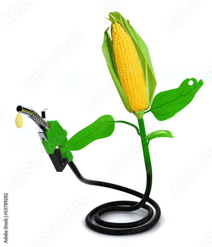 Illustration: maize and fuel pump maize and fuel pump