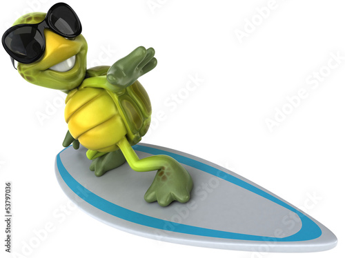 Photo: Fun turtle Fun turtle