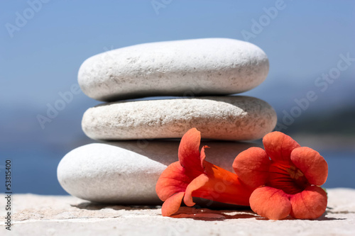 Photo: Pebble Stones with Orange Flowers Pebble Stones with Orange Flowers