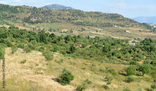 Photo: algerie...maquis algerie...maquis