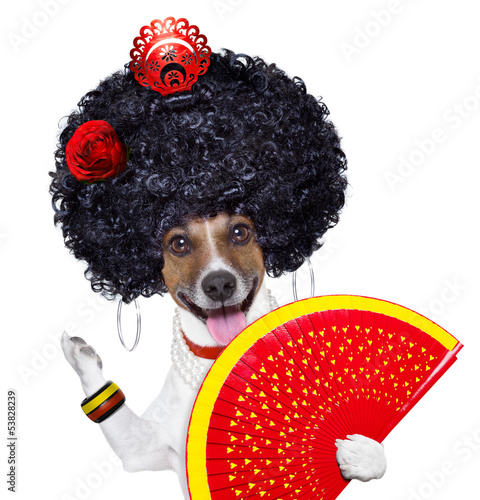 Photo: spanish dog spanish dog