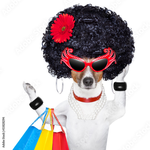 Photo: shopaholic diva dog shopaholic diva dog