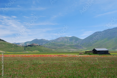 Photo: castelluccio di norcia-fioritura castelluccio di norcia-fioritura