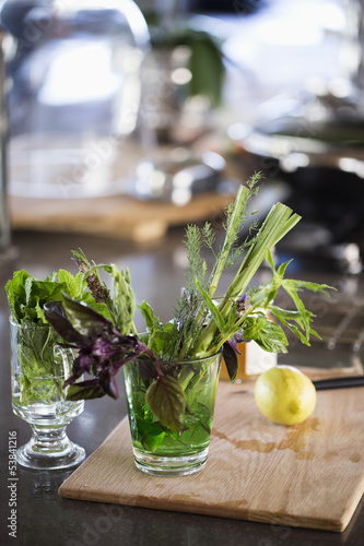 Photo: Herbs in a glass Herbs in a glass