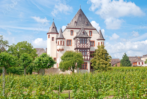 Photo: Weingut Schloss Schönborn in Geisenheim am Rhein Weingut Schloss Schönborn in Geisenheim am Rhein