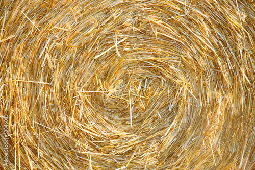 Photo: Detials close up shot of Wheat Haystack in farmer field Detials close up shot of Wheat Haystack in farmer field