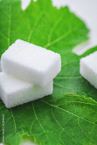 Photo: sugar cube on leaf sugar cube on leaf