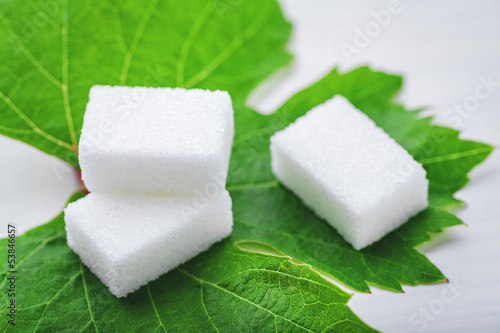 Photo: sugar cube on leaf sugar cube on leaf