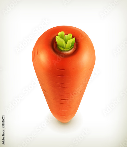 Vector: Carrots, icon Carrots, icon