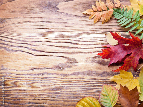 Photo: Autumn leaves. Autumn leaves.