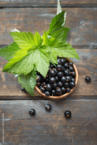 Photo: Blackcurrants in bowl Blackcurrants in bowl