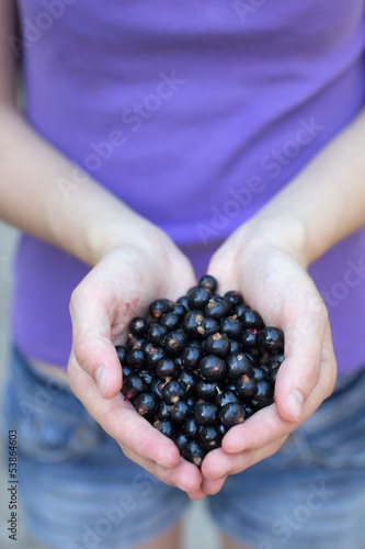 Photo: Young woman holding fresh blackcurrants Young woman holding fresh blackcurrants