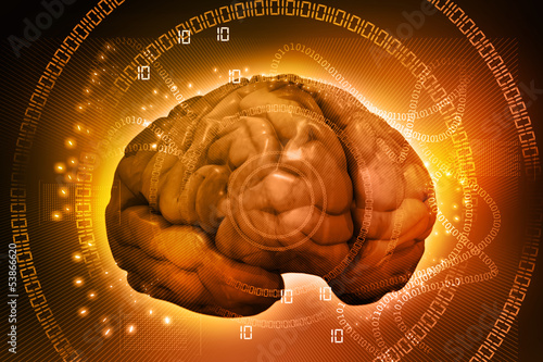 Illustration: the concept of thinking. background with brain. the concept of thinking. background with brain.