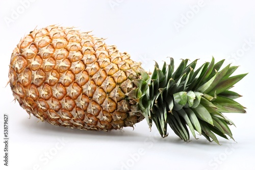 Photo: Ananas02 Ananas02