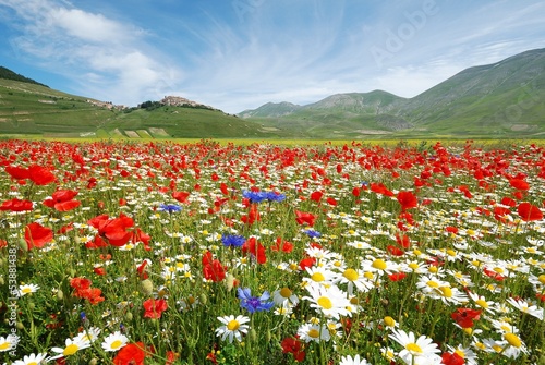 Photo: Fioritissima Castelluccio Norcia Italia Fioritissima Castelluccio Norcia Italia