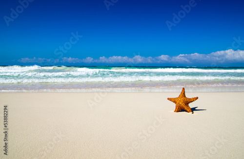 Photo: tropical sea tropical sea