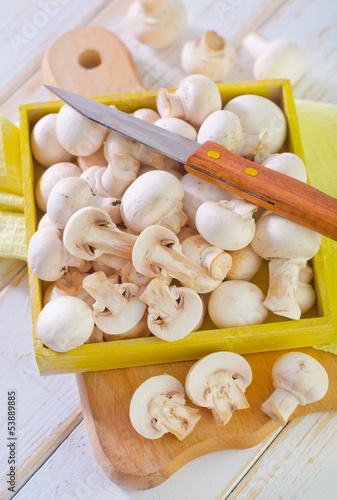 Photo: raw mushroom raw mushroom