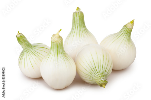 Photo: onions white group onions white group
