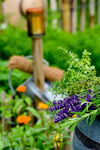 Photo: Nutzgarten Nutzgarten