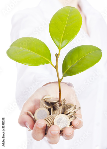 Photo: Green plant sprouting from a hand with money, isolated on white Green plant sprouting from a hand with money, isolated on white