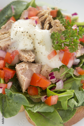 Photo: Open Tuna Salad Sandwich Open Tuna Salad Sandwich