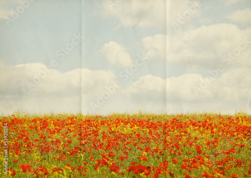 Photo: paper poppy field paper poppy field