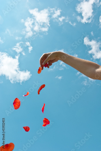 Photo: Petals heart Petals heart