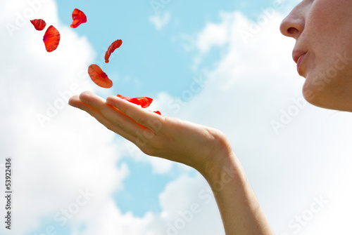 Photo: Blowing petals Blowing petals